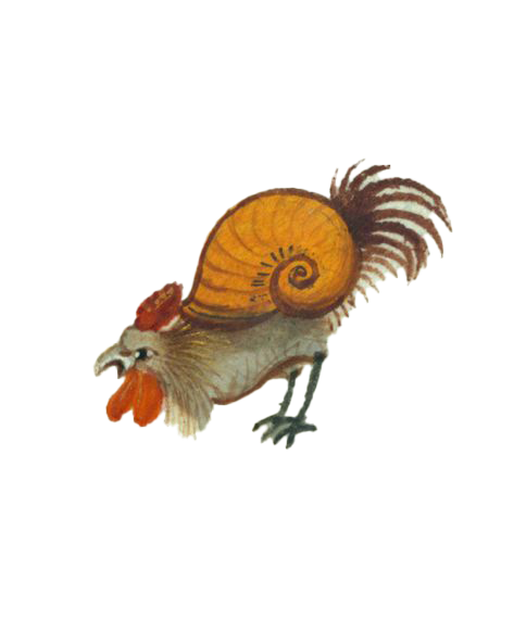 Rooster snail character from the Marginalia moodboard